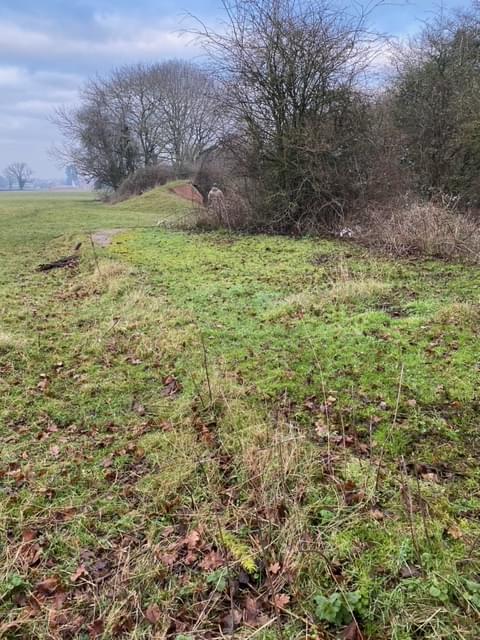 Site location (Julia Cotton)