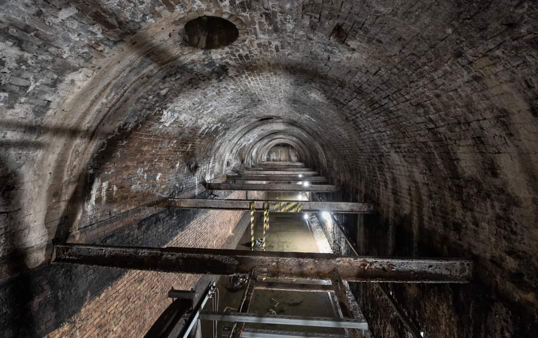 View of the vaults (Callum Cromwell)