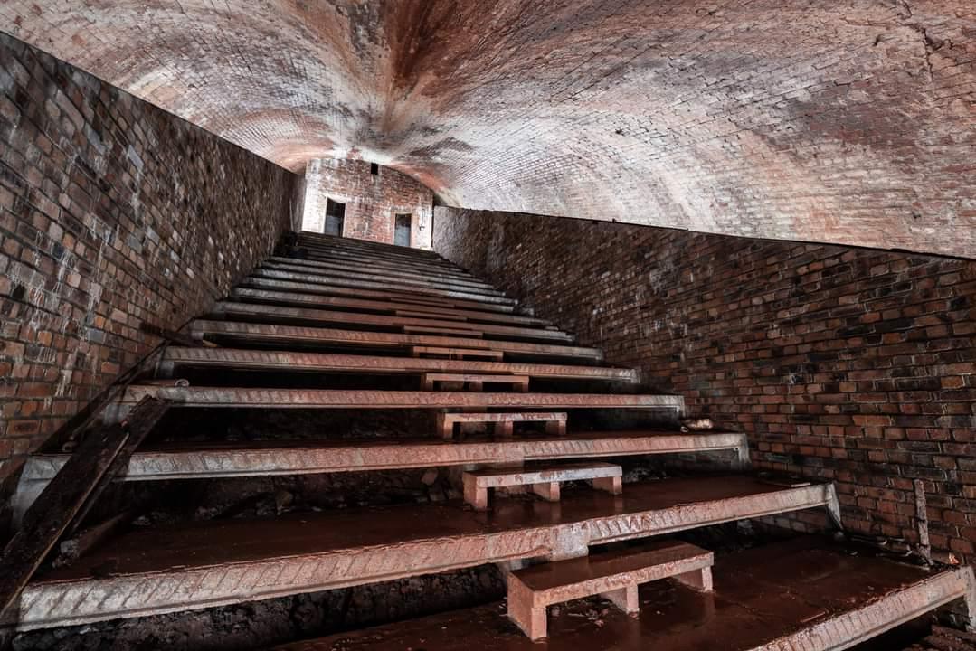 Tiered seating after debris clearance (Callum Cromwell)