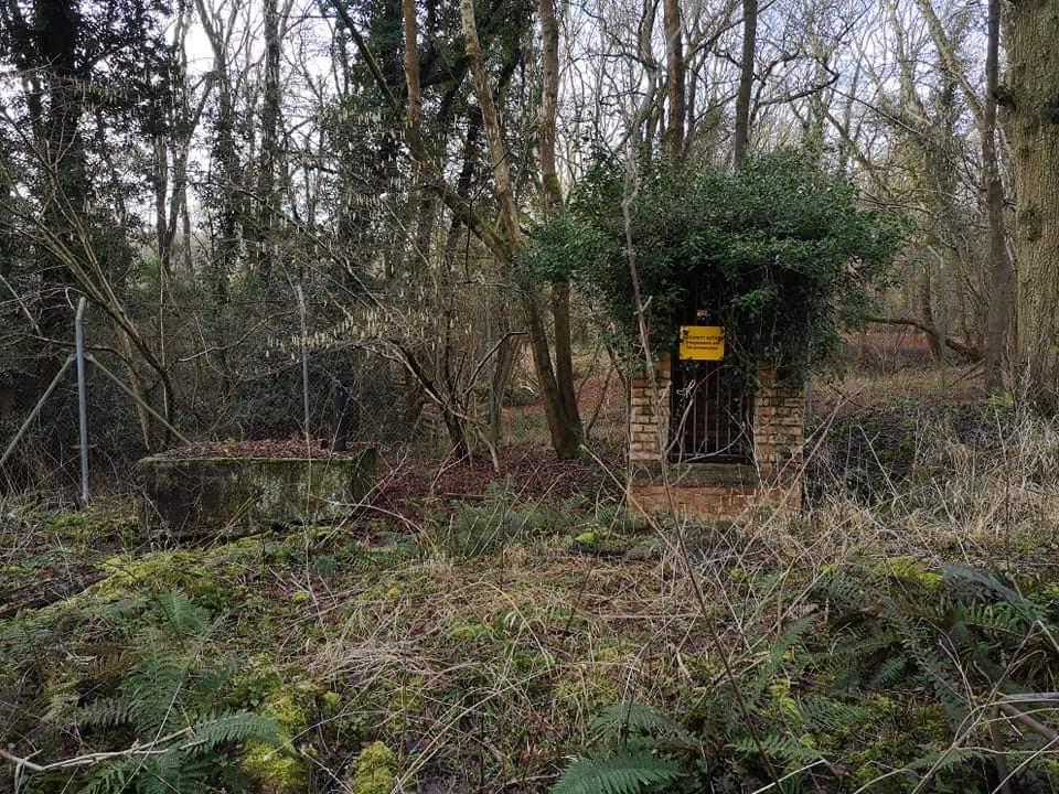 Emergency exit 2021 (Callum Cromwell)