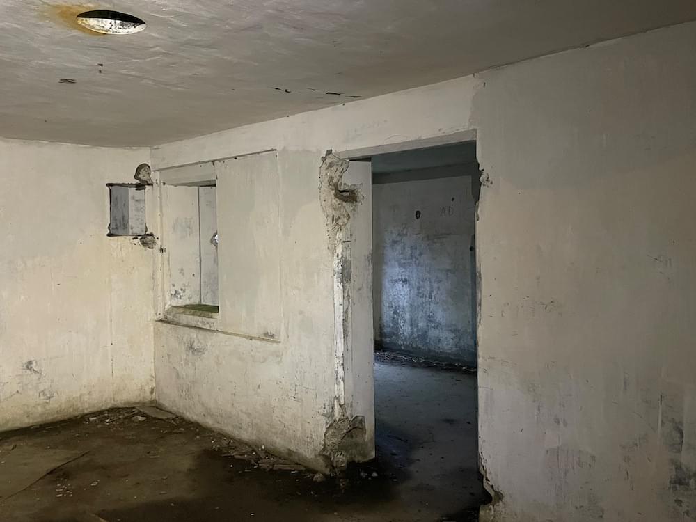 Interior store (Neil Iosson - 2021)