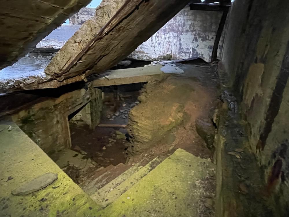 Beneath collapsed canopy (Neil Iosson - 2021)