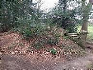 The Ice House mound at Blickling, showing the wooded surroundings and the later-built brick poillars. (Martin Dixon)