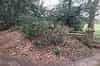 The Ice House mound at Blickling, showing the wooded surroundings and the later-built brick poillars. (Martin Dixon)