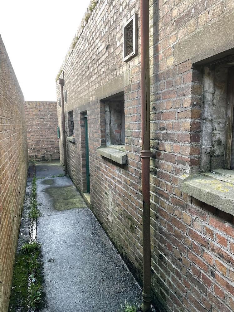 (Neil Iosson - 2021)