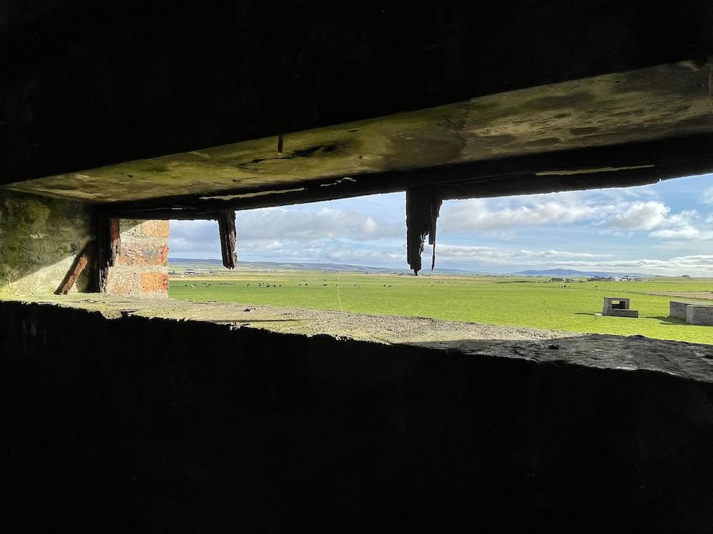 View from first floor (Neil Iosson - 2021)
