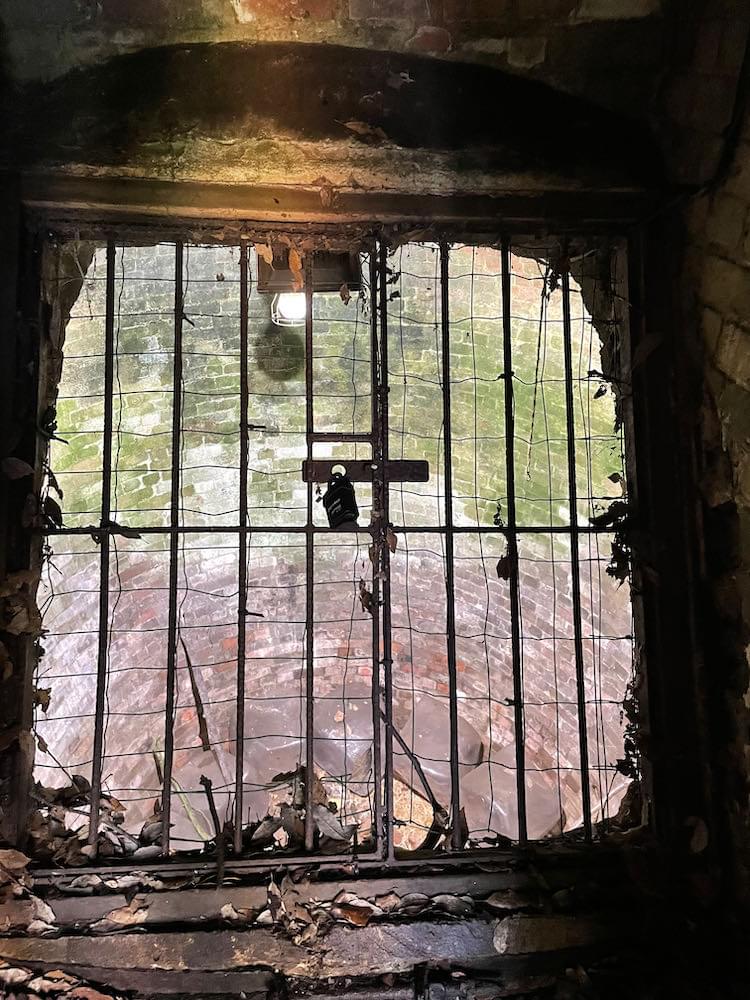 Well (Neil Iosson - 2021)