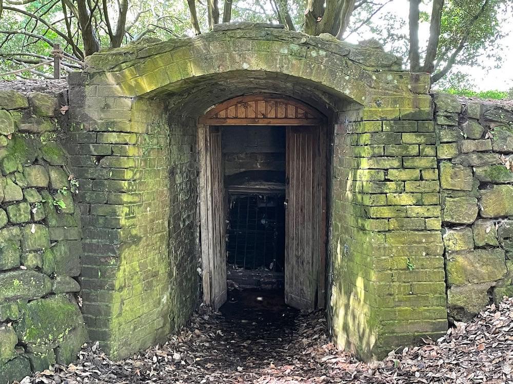 Entrance  (Neil Iosson - 2021)