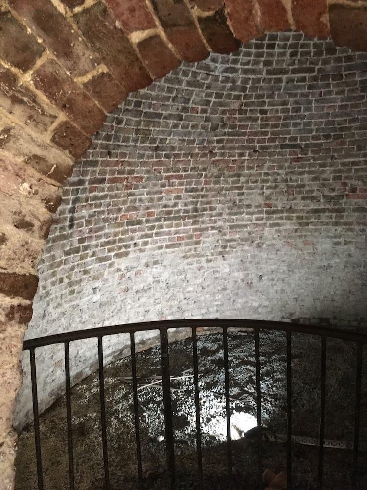 (Tim Wellburn - 2022)