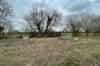 Earls Colne ROC Post (Dubz by Dan)