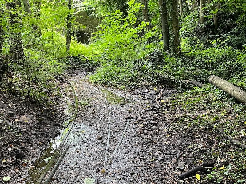Incline tramway tracks (Neil Iosson - 2021)