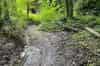 Incline tramway tracks (Neil Iosson - 2021)