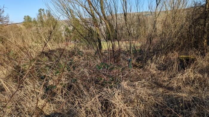 Bacup ROC Post (James Smith )