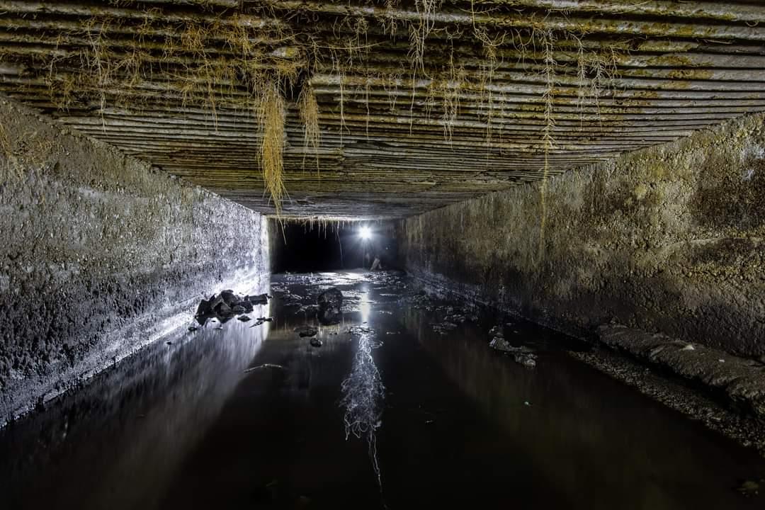 (Callum Cromwell - 2022)