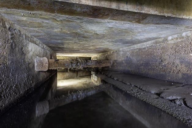 (Callum Cromwell - 2022)