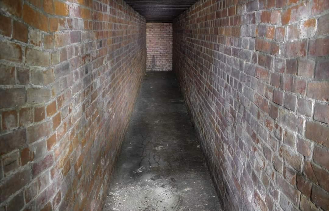 (Callum Cromwell - 2017)