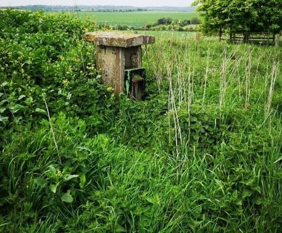 Woodham Ferrers ROC Post (Paul Devenish)