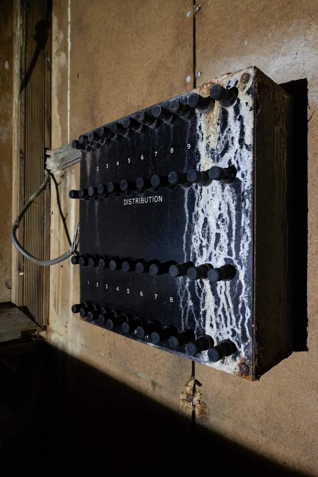 (Callum Cromwell - 2022)