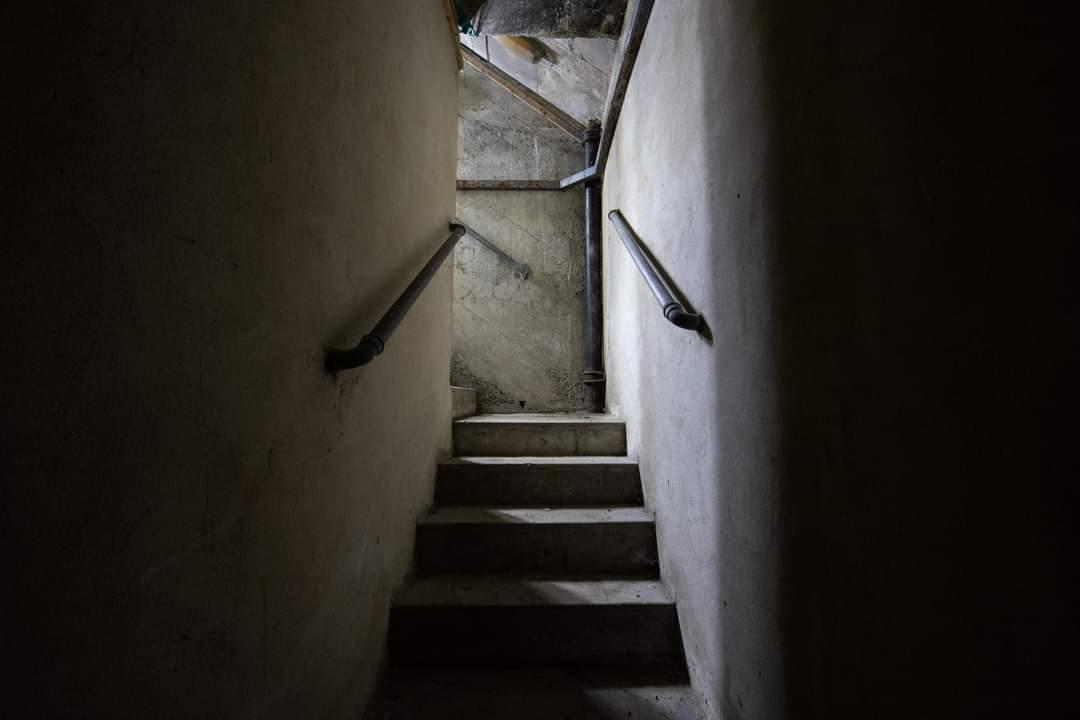 Entrance staircase (Callum Cromwell - 2022)