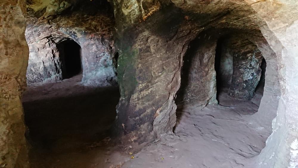 (Howard Fox (Hawkstone Park Follies) - 2019)