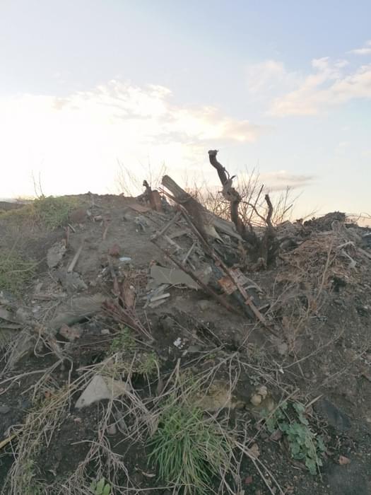 Crowland ROC Post site 23.04.2022 (Abigail Geeson)