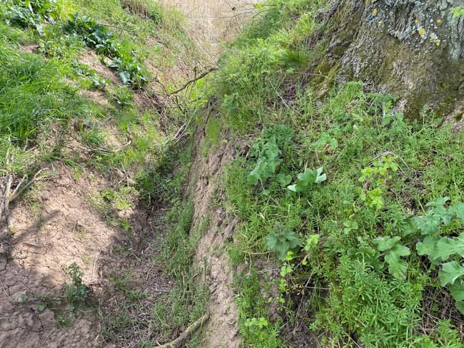 Area near location of Fosdyke ROC Post (Abigail Geeson)