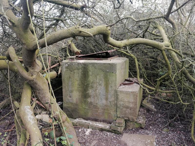 Castor ROC Post (Abigail Geeson)