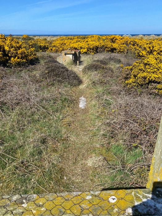 Findhorn ROC Post (Craig Wilson )