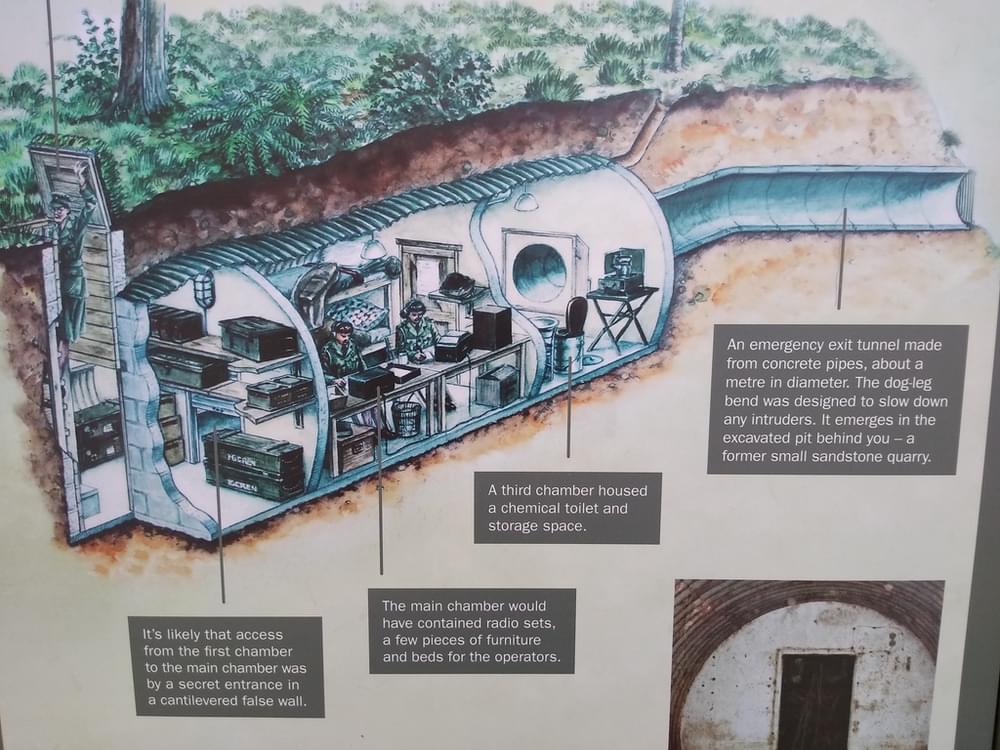 Site cutaway detail (Kew Gardens)