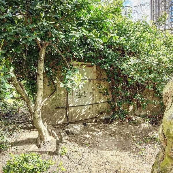 (Paul Devenish - 2022)