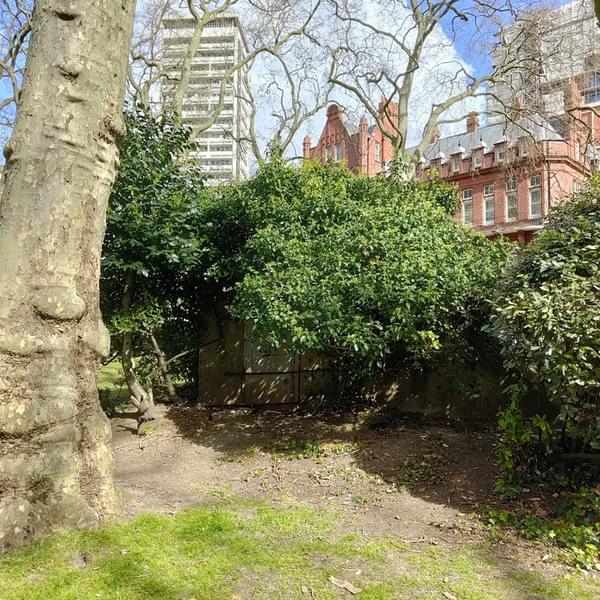 (Paul Devenish - 2022)