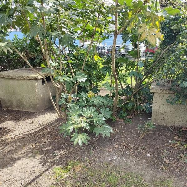 (Paul Devenish - 2022)