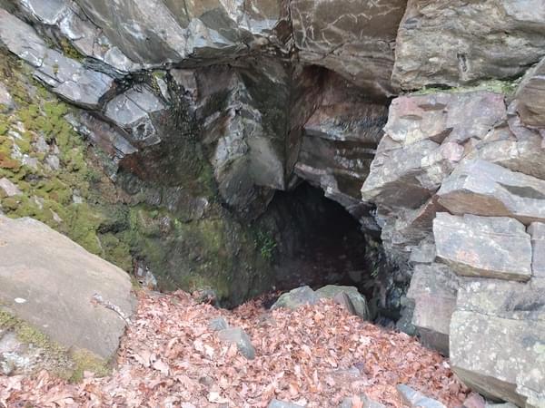 Entrance (Nick Alexander - 2022)