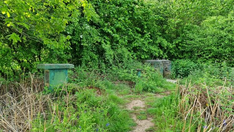 Melbourne ROC Post (Richard Bailey-Wiles )