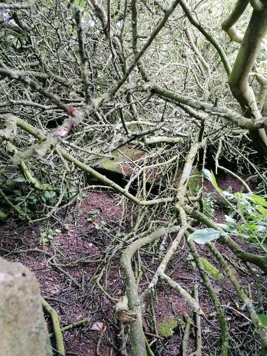 Cotgrave ROC Post (Ashley Brown)