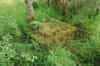 Markfield ROC Post (Ashley Brown)