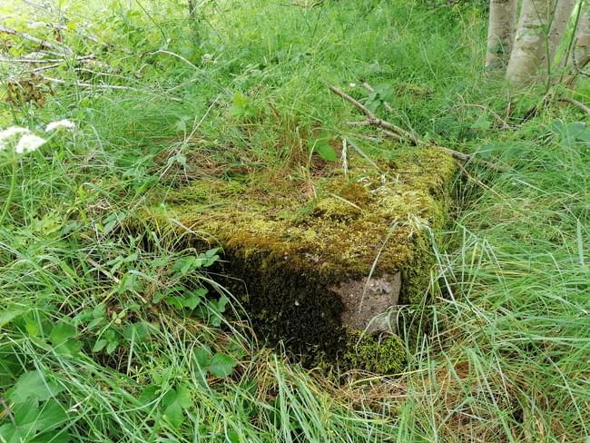 Markfield ROC Post (Ashley Brown)