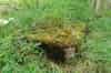 Markfield ROC Post (Ashley Brown)
