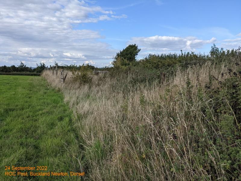 Buckland Newton ROC Post (Ian Turner)