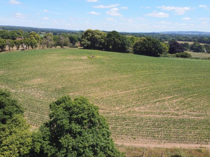 Rogate ROC Post (Ian T)