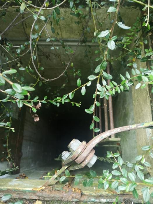 Baumber ROC Post (Susan Powell)