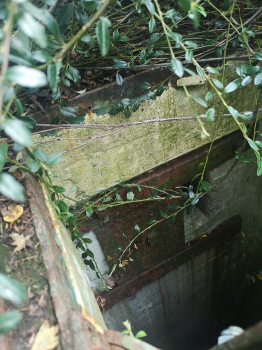 Baumber ROC Post (Susan Powell)