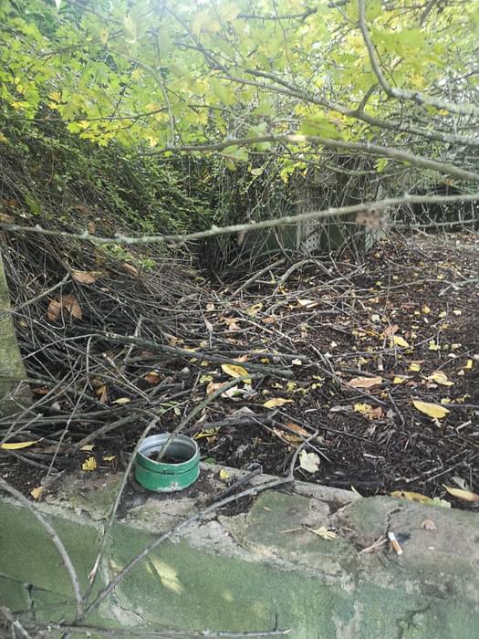 Baumber ROC Post (Susan Powell)