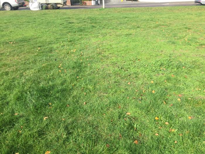 Possible site of the post October 2022 (Chris and Sharon Brown)