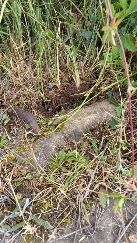 Saltburn ROC Post (Charlie Gamble)