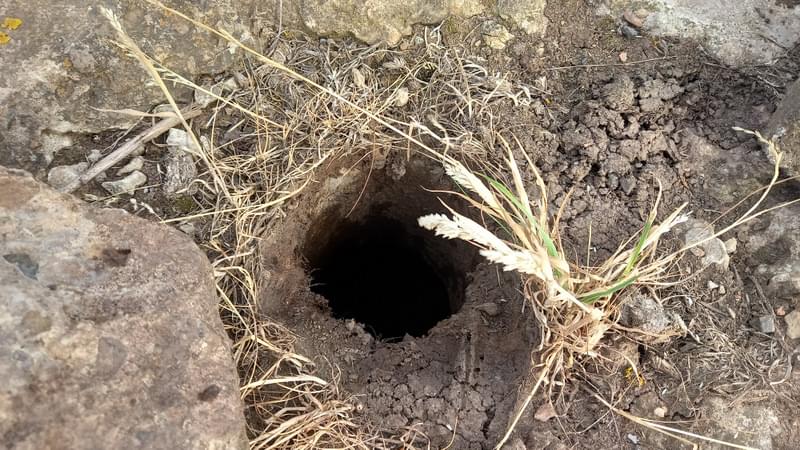 Saltburn ROC Post (Charlie Gamble)