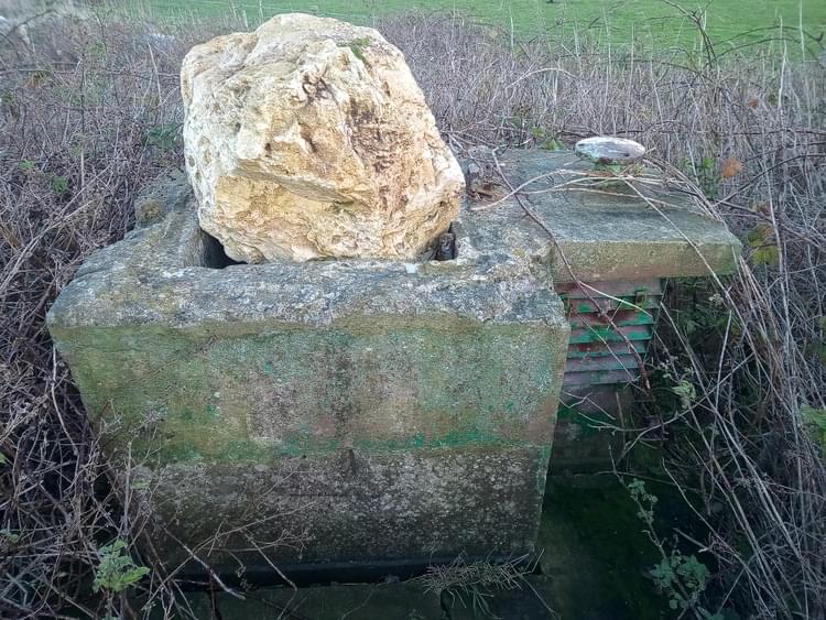 This now has a large rock placed over the vertical entrance tunnel.  (Jordan Tinniswood)