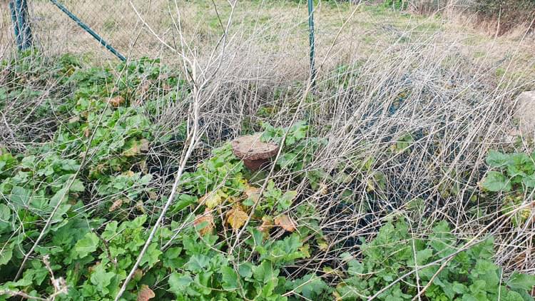 Dunster ROC Post (Ryan Hickman)