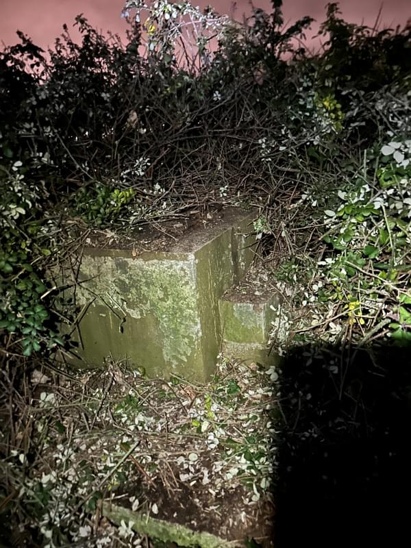 Hallen ROC Post (Sam Hemley)