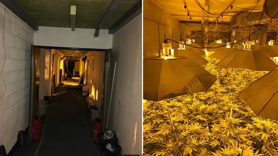 The Cannabis Farm discovered in  2017 (Wiltshire Police)